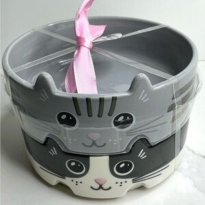 2 Rocky Bear Ceramic Pet Bowl Medium Cats Dishwasher Safe New